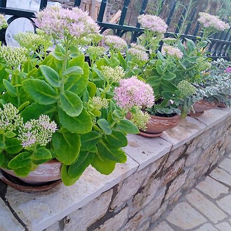 La Casa Di Bella A Tradional Stone House With Barbecue Villa Karia  ภายนอก รูปภาพ